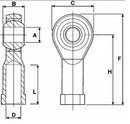 Testina a snodo femmina con ingrassatore filetto M10 confezione da 2 pezzi
