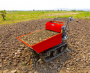 Motocarriola dumper TAG300TD