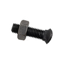 Bullone testa ovale M10x38 con dado confezione da 50 pezzi