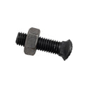 Bullone testa ovale M10x38 con dado confezione da 50 pezzi