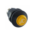 Pulsante Pneutron 12V faro lavoro