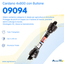 Cardano con bullone di trancio 4x800