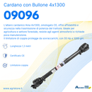 Cardano con bullone di trancio 4x1300