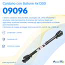 Cardano con bullone di trancio 4x1300
