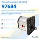 Pompa ad ingranaggi gruppo 3 33,80 CC dx