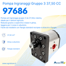 Pompa ad ingranaggi gruppo 3 37,50 CC dx