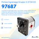 Pompa ad ingranaggi gruppo 3 37,50 CC sx