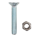 Bullone tspei M12x70 confezione da 25 pezzi