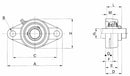Supporto a flangia con due fori Ama UCFL 206 con cuscinetto Ø 30mm