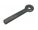 Occhione quadro 55 x 65