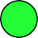 Filo per decespugliatore Evergreen da 15m sezione tonda Ø 2,40mm
