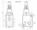 Valvola di massima pressione da 1/4"