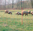 Rete per ovini da 108 cm con 14 picchetti