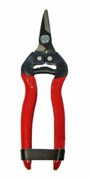 Forbice 165mm da vendemmia