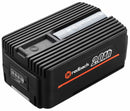 Batteria al Litio 40V 2Ah