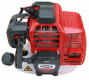 MOTORE DECESPUGLIATORE AG5 530