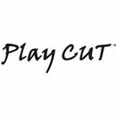 Rasaerba a trazione Ama Playcut LT 465H da 146cc funzioni 4in1
